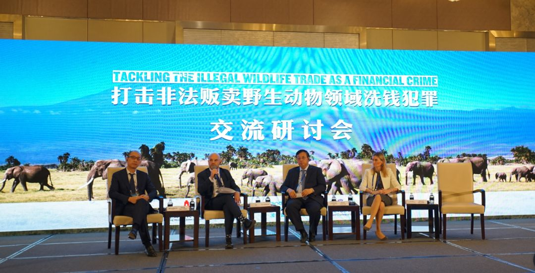 腾讯金融科技副总裁陈起儒（左一）分享打击野生动物非法交易及洗钱的经验